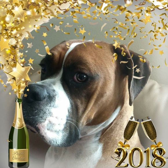 Meet your Posher, Sandy - Picture 1 of 1